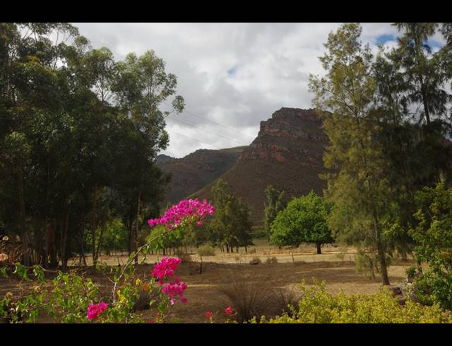 FARM FOR SALE IN PIKETBERG RURAL